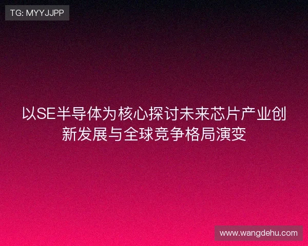 以SE半导体为核心探讨未来芯片产业创新发展与全球竞争格局演变